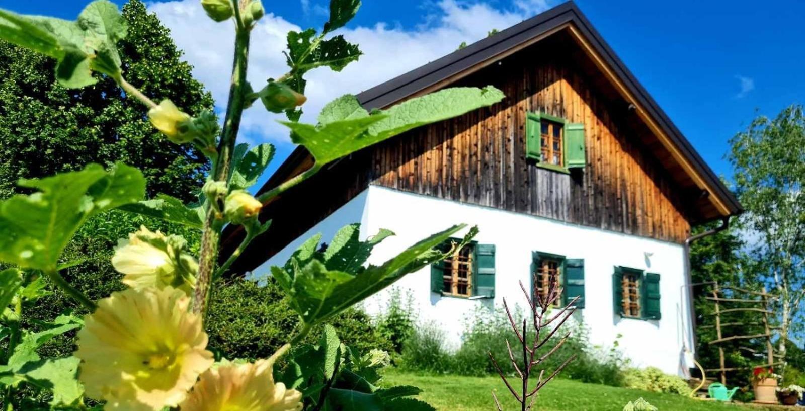 Penzion Estate Ana Ptuj Exteriér fotografie