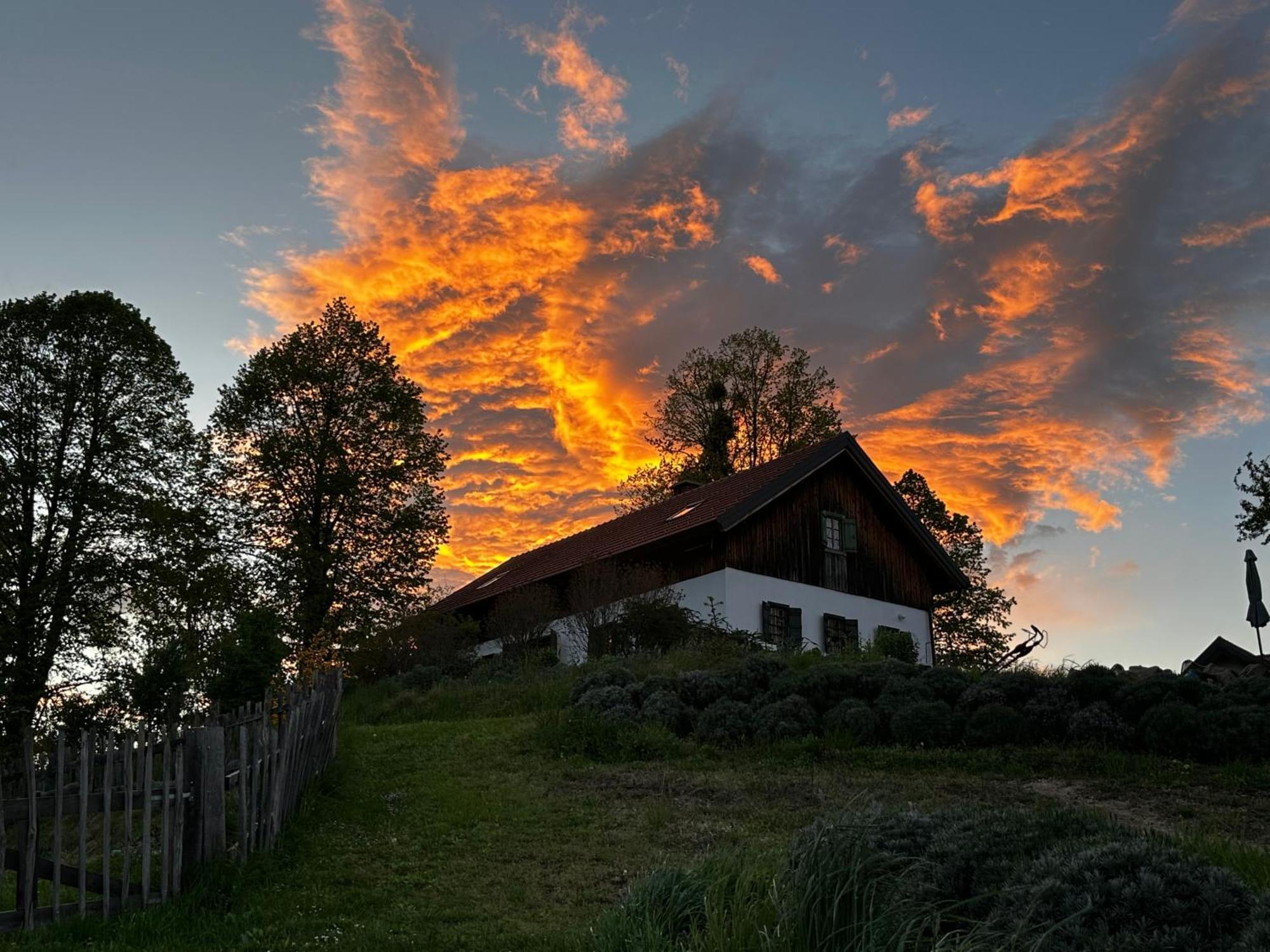 Penzion Estate Ana Ptuj Exteriér fotografie