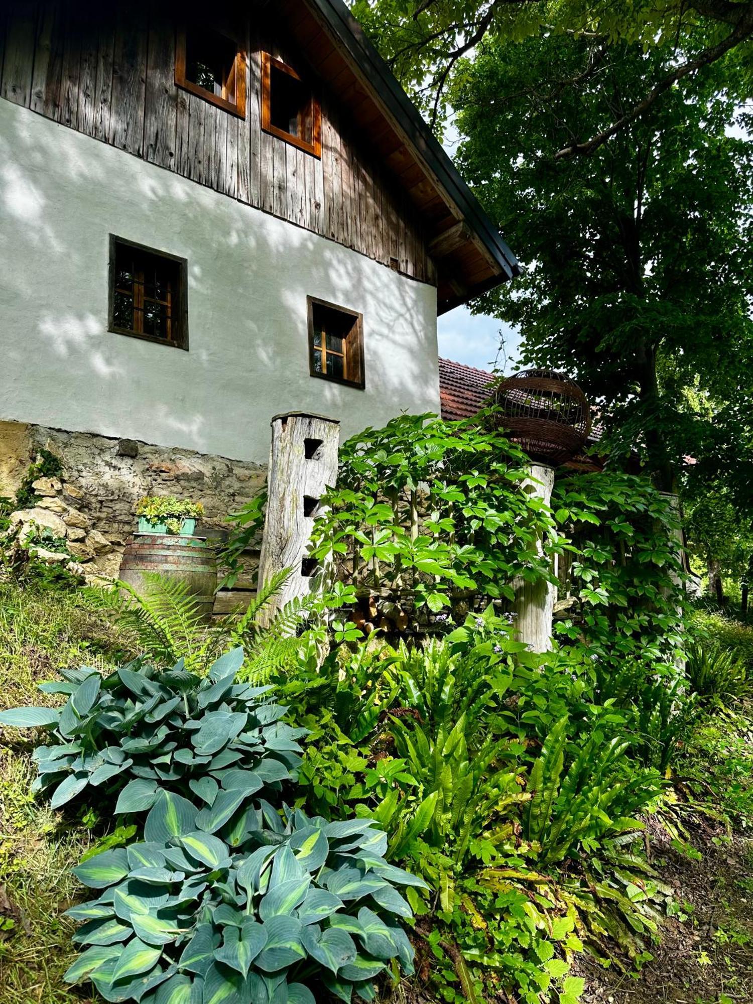 Penzion Estate Ana Ptuj Exteriér fotografie